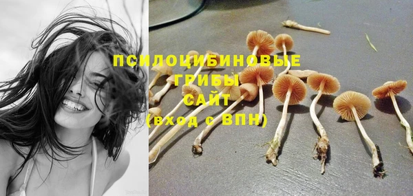 прущие крисы Краснослободск