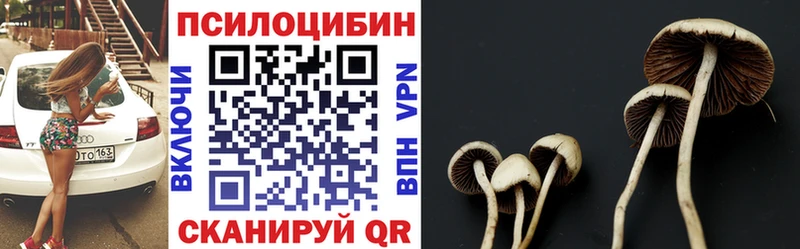 Галлюциногенные грибы MAGIC MUSHROOMS  Купить закладки  Асино 